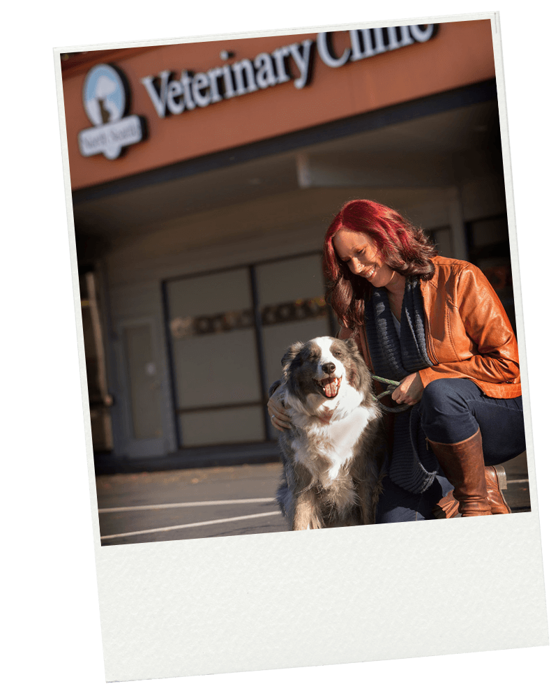 North Seattle Veterinary Clinic 1a