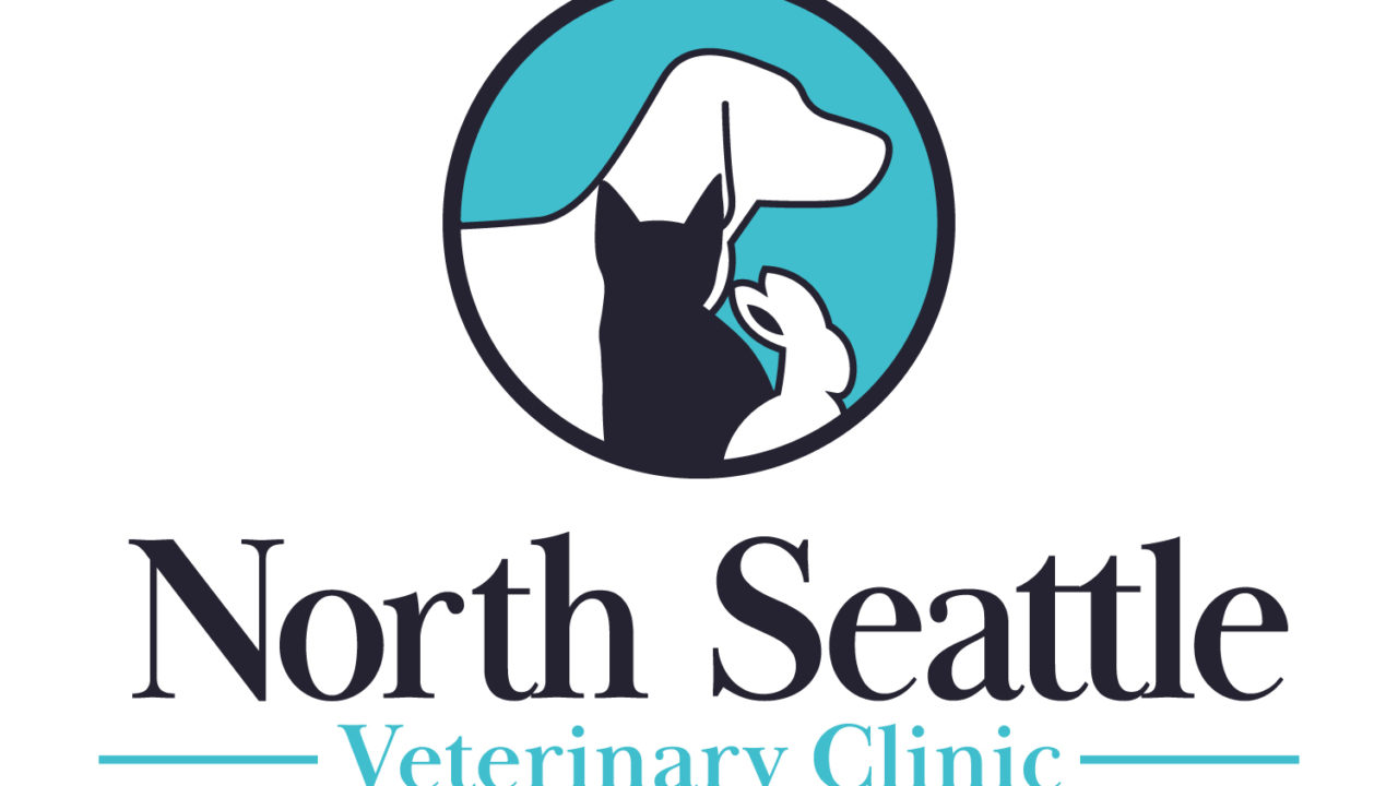 Best Vet Hospital In Seattle North Seattle Veterinary Clinic