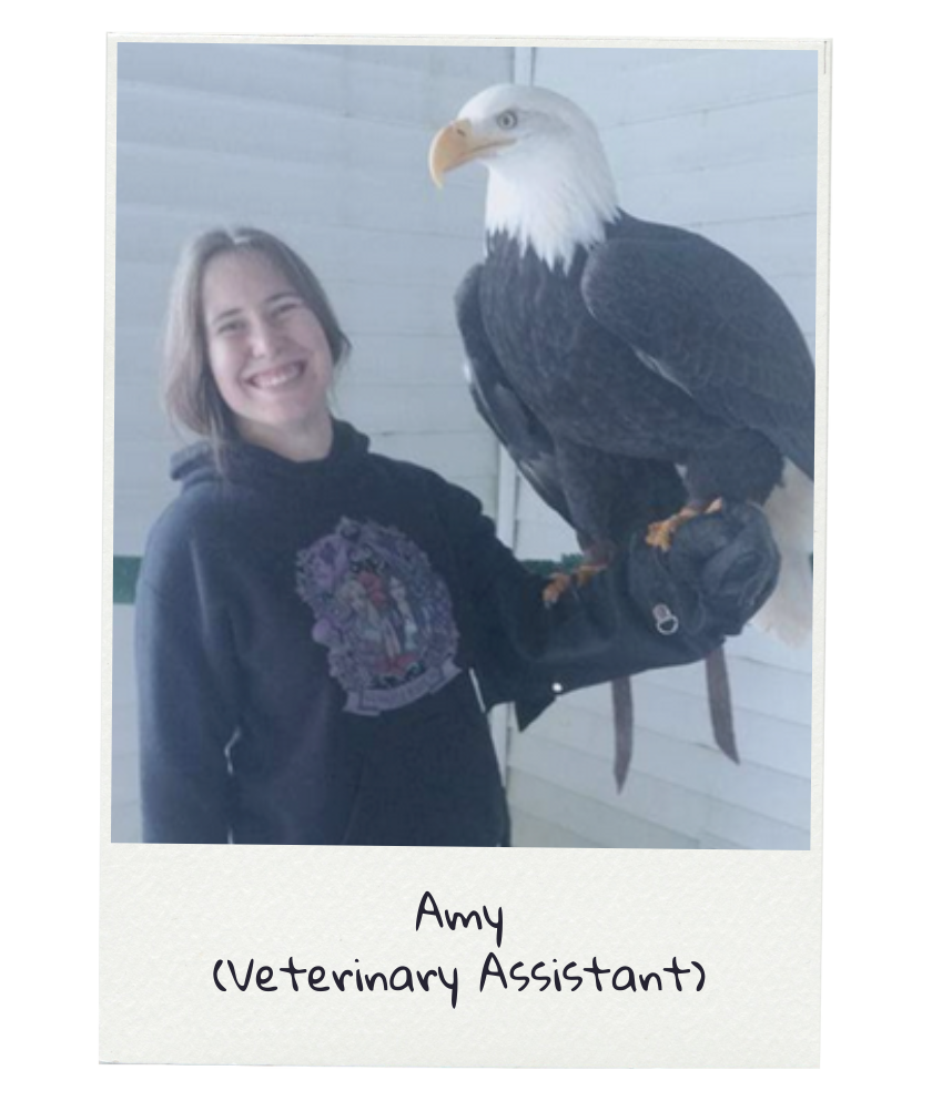 Amy holding a Bald eagle.