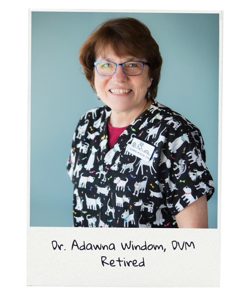 adawna1-3 Dr. Adawna Windom
