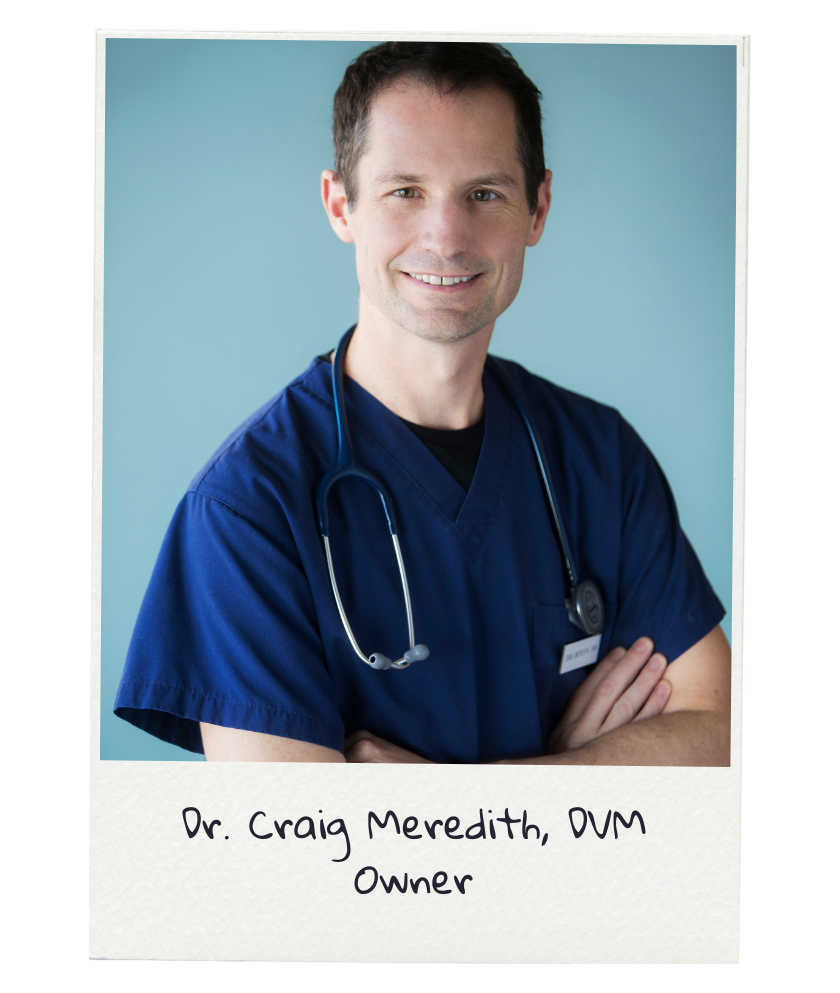 craig1-2 Dr. Craig Meredith