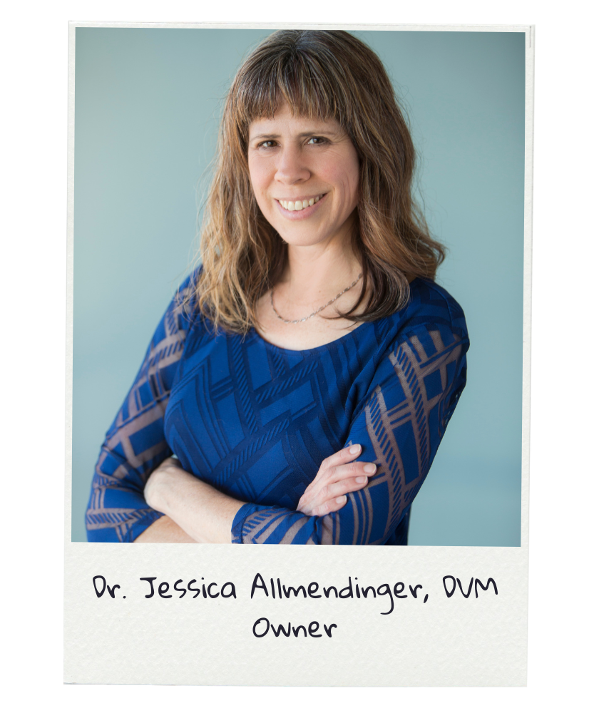 jessica1-2 Dr. Jessica